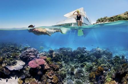 Reef_Snorkelling_on_the_Great_Barrier_Reef.jpg