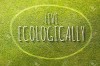 Live ecologically poster illustration of eco-friendly life